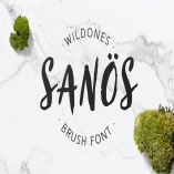 Sanös Brush Script Font