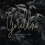 Geraldine | Handwritten Font MS