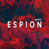  Espion Grotesk - Modern Display Typeface 