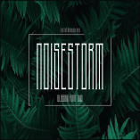 NoiseStorm Font Duo