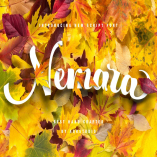 Nemara Script Font