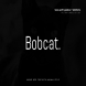 Bobcat  - Modern Typeface + WebFont
