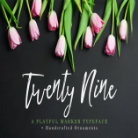 Twenty Nine Font