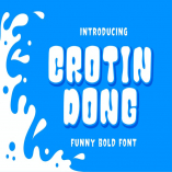 Crotin Dong - Funny Bold Font