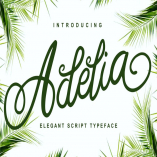 Adelia - Elegant Script Typeface