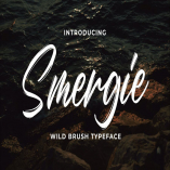 Smergie - Wild Brush Typeface