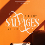 SALVAGES BOLD | SERIF FONT