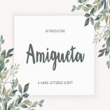 Amigueta Script