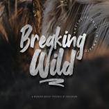 Breaking Wild Brush Font