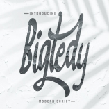 Bigtedy Modern Script 