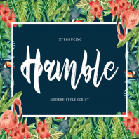 Hamble | Modern Style Script Font