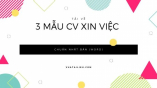 3 mẫu cv xin việc hoàn chỉnh nhất bản Word