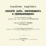 Альбом картин по зоологии рыб, земноводных и пресмыкающихся