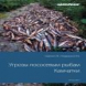 Угрозы лососевым рыбам Камчатки