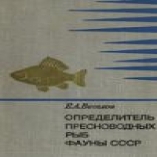 Определитель пресноводных рыб фауны СССР