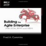 Building the Agile Enterprise: With SOA, BPM and MBM (The MK/OMG Press)